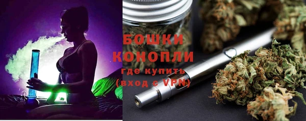 бошки Ельня
