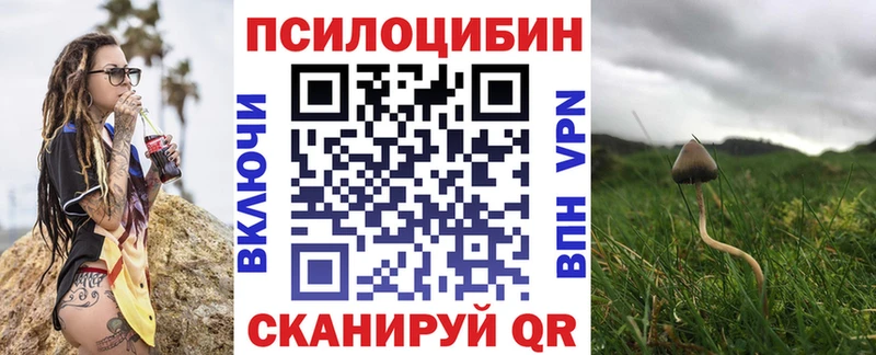 Галлюциногенные грибы мицелий  Купить  Дигора 