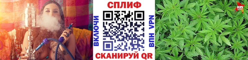 Бошки Шишки план  Купить  Дигора 